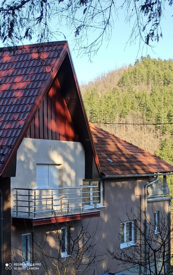 Bogutovac Guest House Vila Aleksa מראה חיצוני תמונה