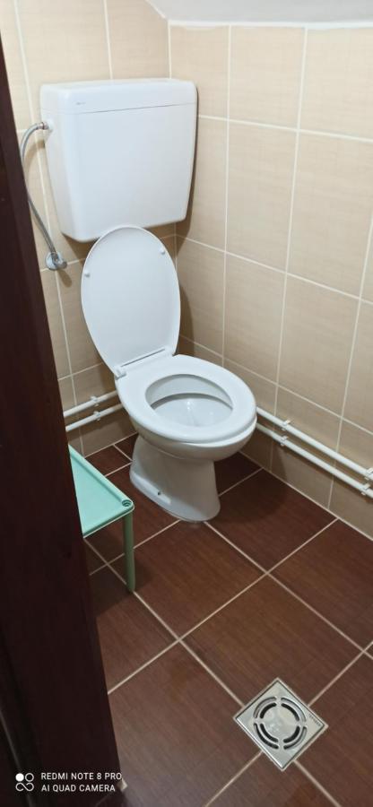 Bogutovac Guest House Vila Aleksa מראה חיצוני תמונה