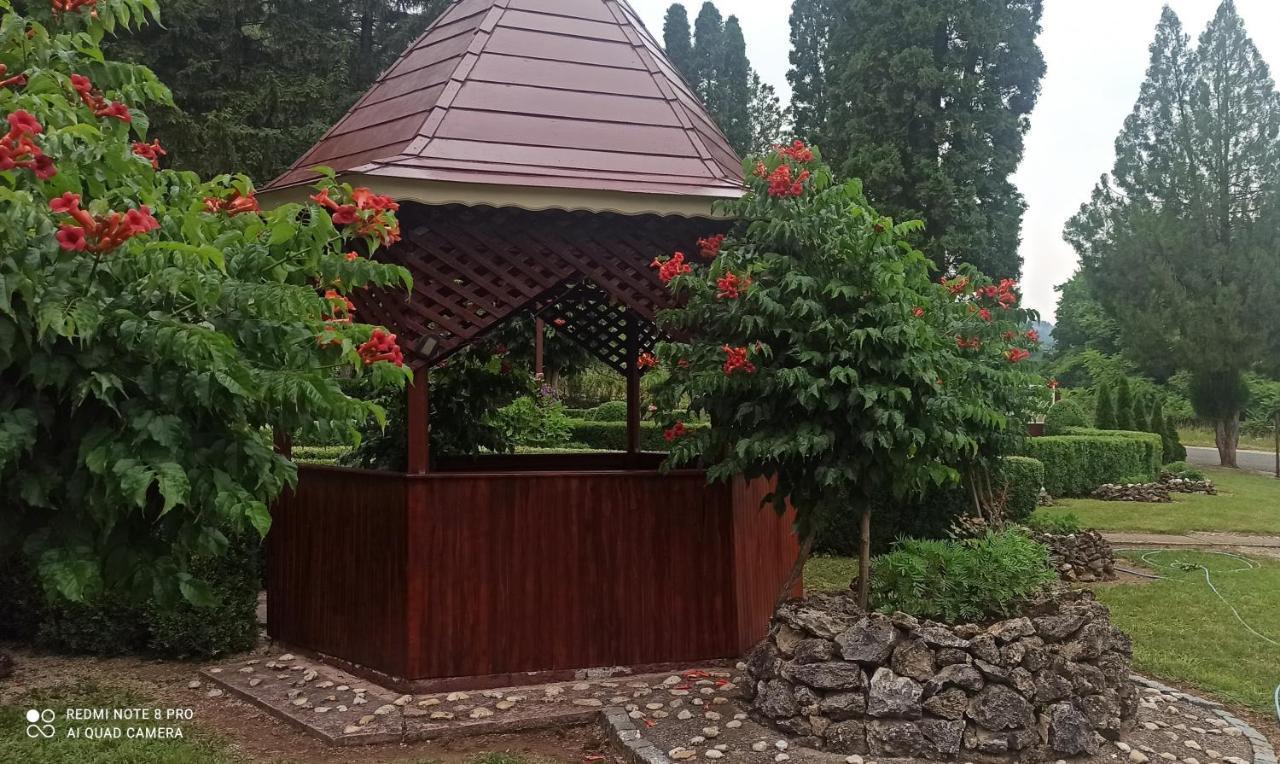 Bogutovac Guest House Vila Aleksa מראה חיצוני תמונה