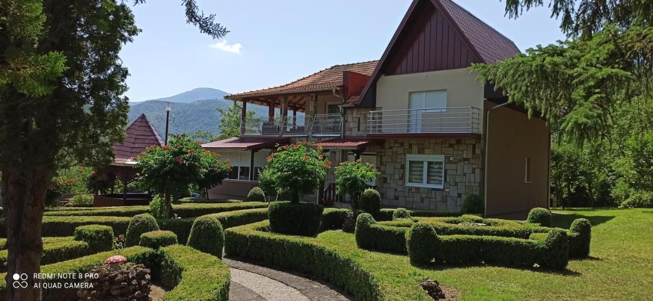 Bogutovac Guest House Vila Aleksa מראה חיצוני תמונה