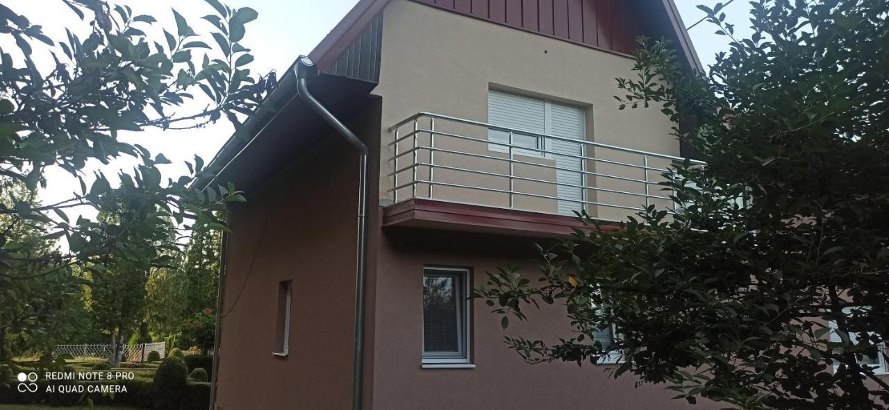 Bogutovac Guest House Vila Aleksa מראה חיצוני תמונה